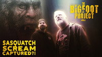 Sasquatch Scream Captured