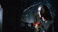 The Crow
