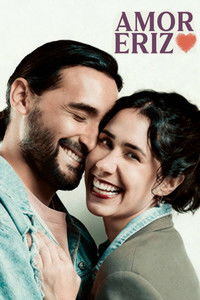 Poster de Amor erizo
