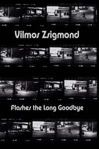 Vilmos Zsigmond Flashes 'The Long Goodbye' (2002)