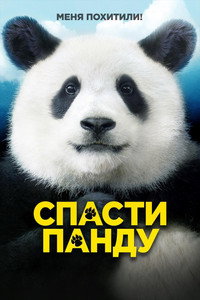 Постер фильма «Спасти панду (2020)» — (7 из 11)