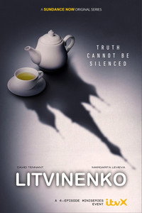 Постер сериала «Литвиненко (2022)» — (5 из 15)