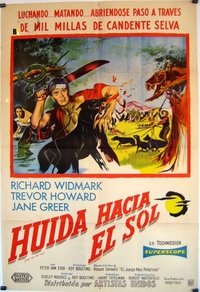 Poster de Run for the Sun