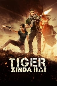 Tiger Zinda Hai (2017)