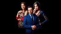 «Тайные истины (2015-2021)» — обои к сериалу #8