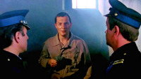 «Ядовитые растения (1985)» — обои к фильму #3