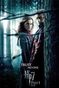 Постер фильма «Гарри Поттер и Дары Смерти: Часть I (2010)» — (11 из 136)