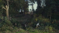 «Укрощение сада (2021)» — обои к фильму #7