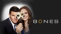Обои к сериалу «Кости (2005 - 2017)» — (31 из 181)