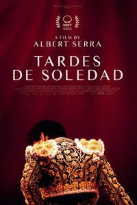 Afternoons of Solitude (2025) poster