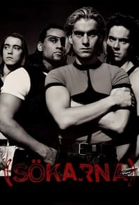 Sökarna (1993)