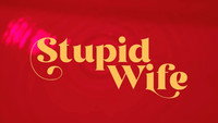«Stupid Wife (a série) (2022)» — обои к сериалу #2