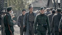 Обои к сериалу «Татуировщик из Освенцима (2024)» — (15 из 31)