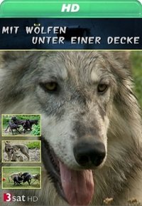 Poster de Mit Wölfen unter einer Decke