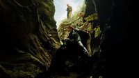 Apex