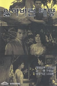 잃어버린 태양 (1964)