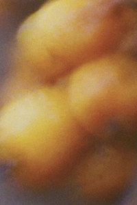 Постер фильма «Am Meer (1995)» — (3 из 3)