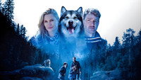 «Собака-герой: Путешествие домой (2021)» — обои к фильму #3