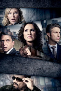 Постер сериала «Закон и порядок. Специальный корпус (1999)» — (27 из 175)