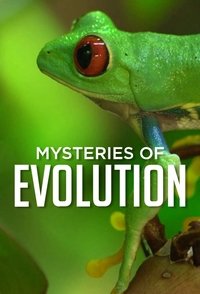Watch Mysteries of Evolution - Season 1 123Movies