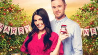 «How to Find Forever (2022)» — обои к фильму #2