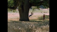 Обои к фильму «Пайн Флэт (2006)» — (11 из 11)