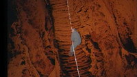 The Stomach and Intestines