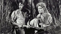 «Назначение в Гондурас (1953)» — обои к фильму #2