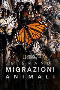 copertina serie tv Le+Grandi+Migrazioni+Animali 2023