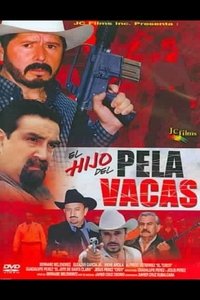 Poster de El hijo del pelavacas