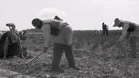 Обои к фильму «Путешествие с родины на родину (2013)» — (20 из 28)