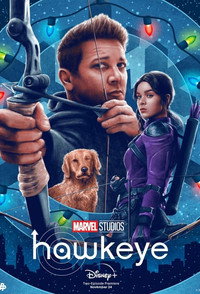 Постер сериала «Соколиный глаз (2021)» — (35 из 208)