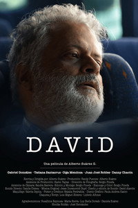 David (2022) poster