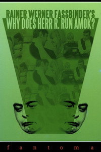 Постер фильма «Почему рехнулся господин Р? (1970)» — (6 из 9)