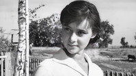 «До будущей весны (1960)» — обои к фильму #1
