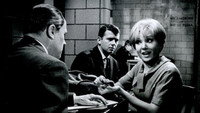 «Защитники (1961 - 1965)» — обои к сериалу #2