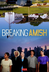 Постер сериала «Амиши: Найти новую жизнь (2012 - 2014)» — (3 из 11)
