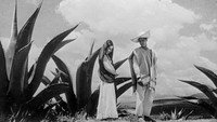 «Время на солнце (1940)» — обои к фильму #1