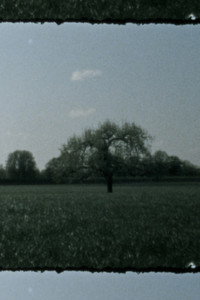 Landscape as Landscape 3