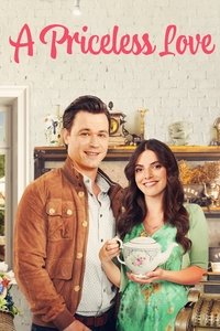 Poster de A Priceless Love