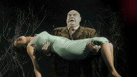 «Flying Saucers Over Hollywood: The 'Plan 9' Companion (1992)» — обои к фильму #2
