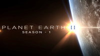 Обои к сериалу «Планета Земля 2 (2016)» — (19 из 44)