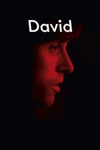 David (2015)