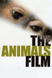 The Animals Film (1981)