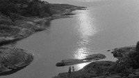 «Лето с Моникой (1953)» — обои к фильму #1