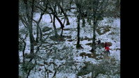 «Пайн Флэт (2006)» — обои к фильму #5
