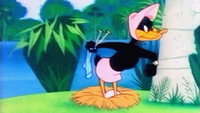 «Quackodile Tears (1962)» — обои к мультфильму #1