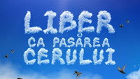 «Liber ca pasarea cerului (2019)» — обои к сериалу #1