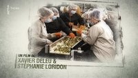 Cannabis : quand le deal est légal