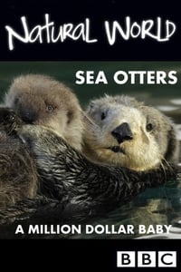 Sea Otters: A Million Dollar Baby (2010)